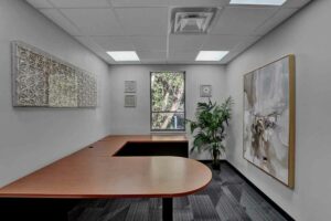 Orlando Florida Virtual Meeting Offices